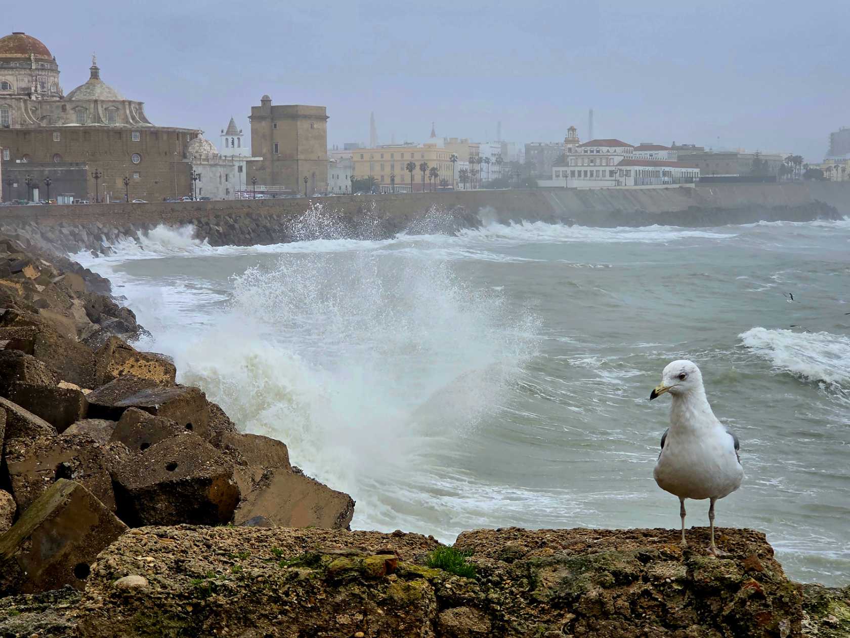 Cádiz, Spanien: Grosse Wellen brechen an der Uferbefestigung.