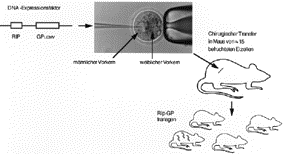 Diagramm