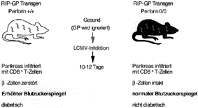 Diagramm