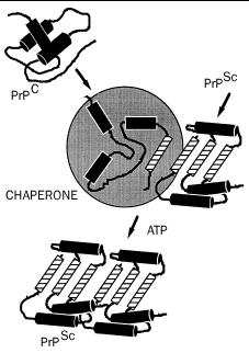 Diagramm