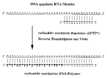 Diagramm