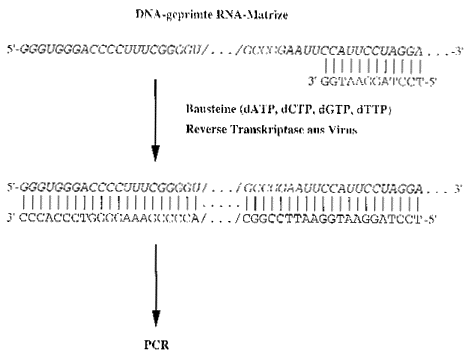 Diagramm