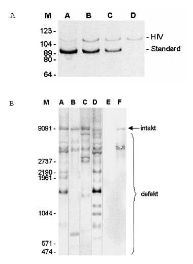 PCR-Methoden