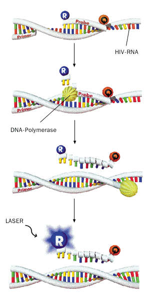 HIV-RNA