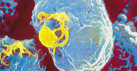 Farmen f&uuml;r Insekten